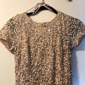 Size 4 Adrianna Papell Blush beaded dress
